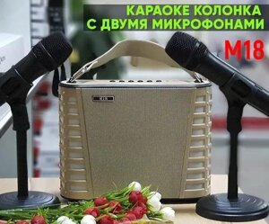 Портативний караоке стовпчик. Вбудований USB, Bluetooth, MP3. Час раб