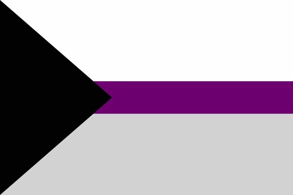 Підкреслити Demisexuality/ Demisexuaulov 150*90 Flag of Demisexuality від компанії ARTMOS - Інтернет магазин - фото 1