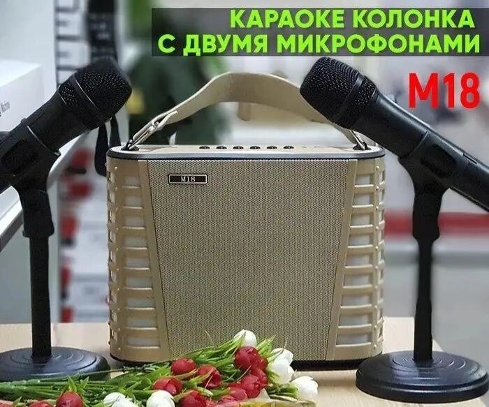 Портативний караоке стовпчик. Вбудований USB, Bluetooth, MP3. Час раб від компанії ARTMOS - Інтернет магазин - фото 1