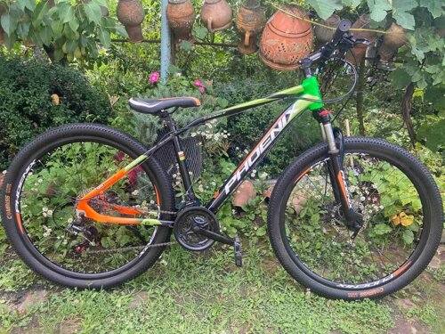 phoenix drift mtb