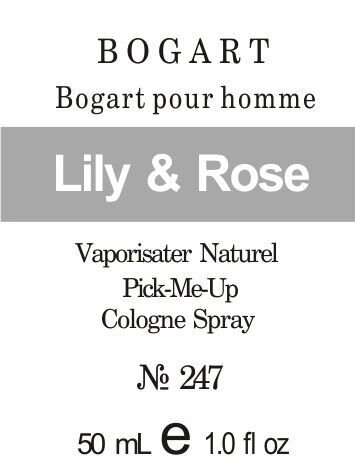 247 Bogart pour homme від Bogart - Oil 50мл від компанії Reni Parfum | Ameli | Наливна парфумерія | Парфумерні масла | Флакони - фото 1