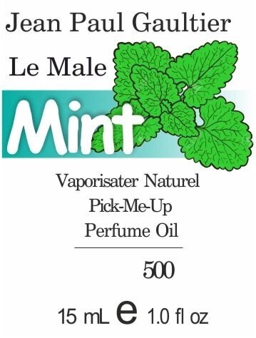500 Le Male Jean Paul Gaultier -15мл від компанії Reni Parfum | Ameli | Наливна парфумерія | Парфумерні масла | Флакони - фото 1