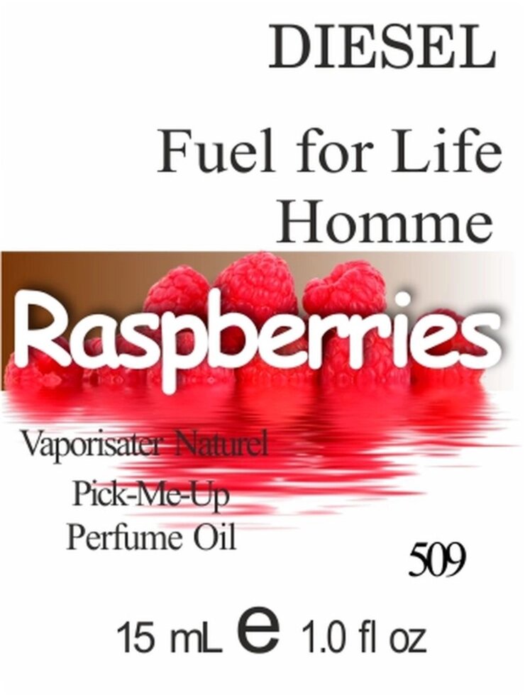 509 Fuel for Life Homme Diesel 15 мл від компанії Reni Parfum | Ameli | Наливна парфумерія | Парфумерні масла | Флакони - фото 1
