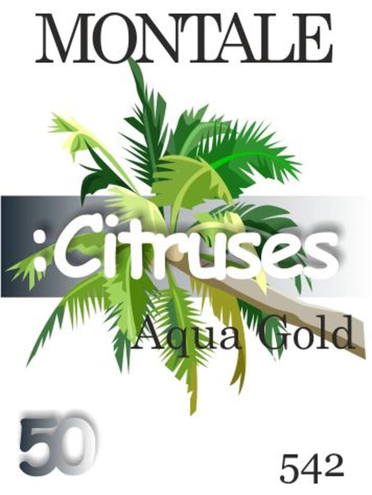 542 Aqua Gold Montale 50 мл від компанії Reni Parfum | Ameli | Наливна парфумерія | Парфумерні масла | Флакони - фото 1