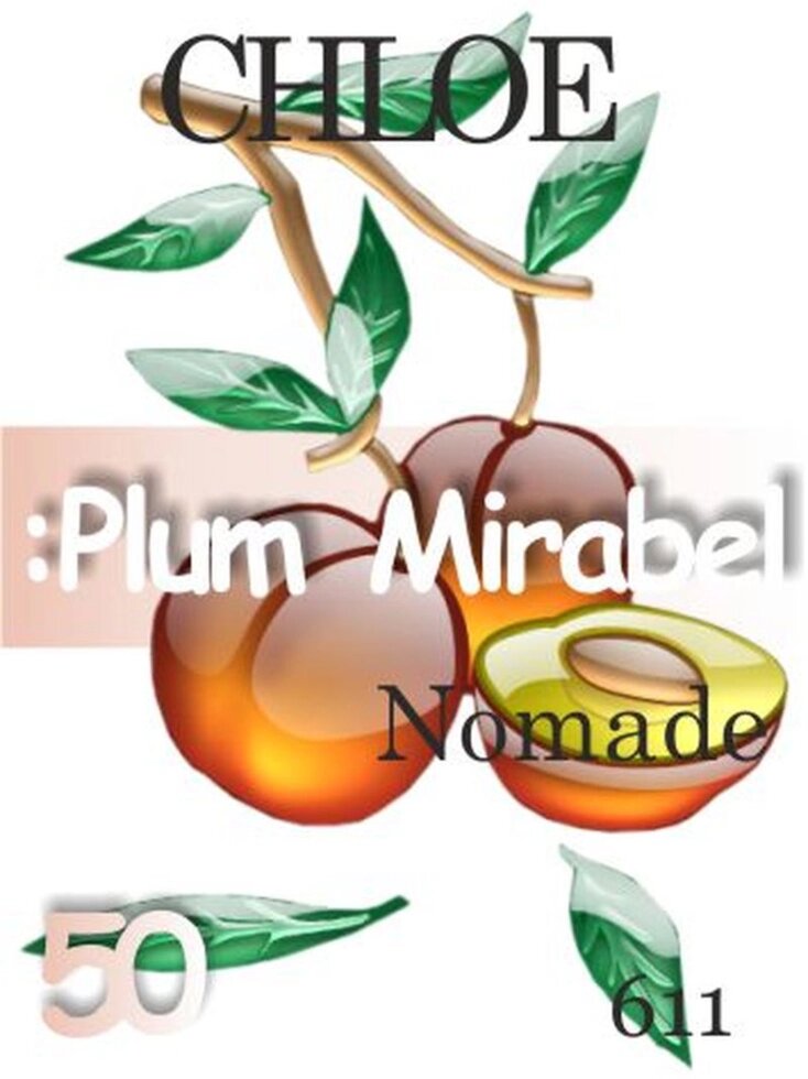611 Nomade Chloé 50 мл від компанії Reni Parfum | Ameli | Наливна парфумерія | Парфумерні масла | Флакони - фото 1