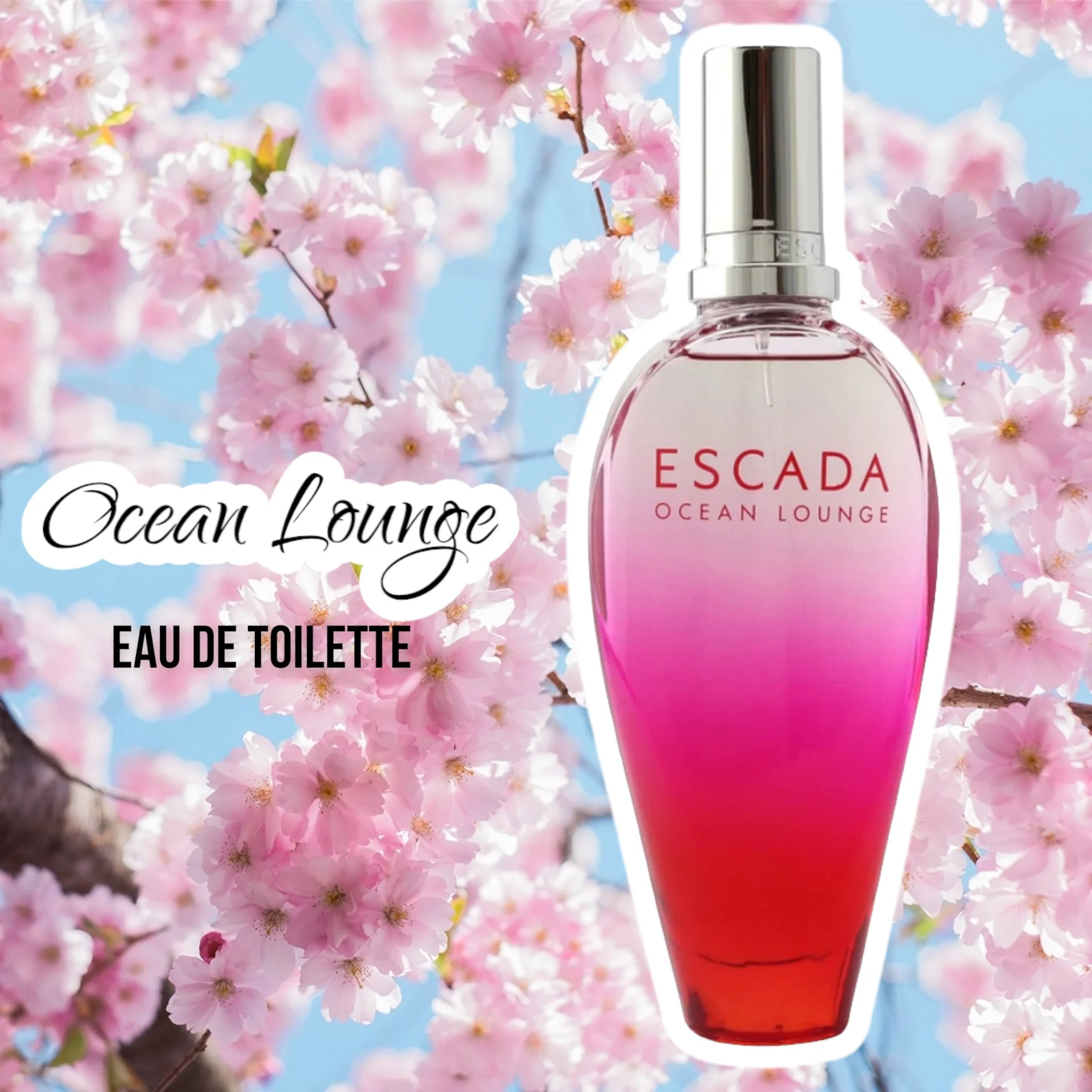 ocean lounge escada