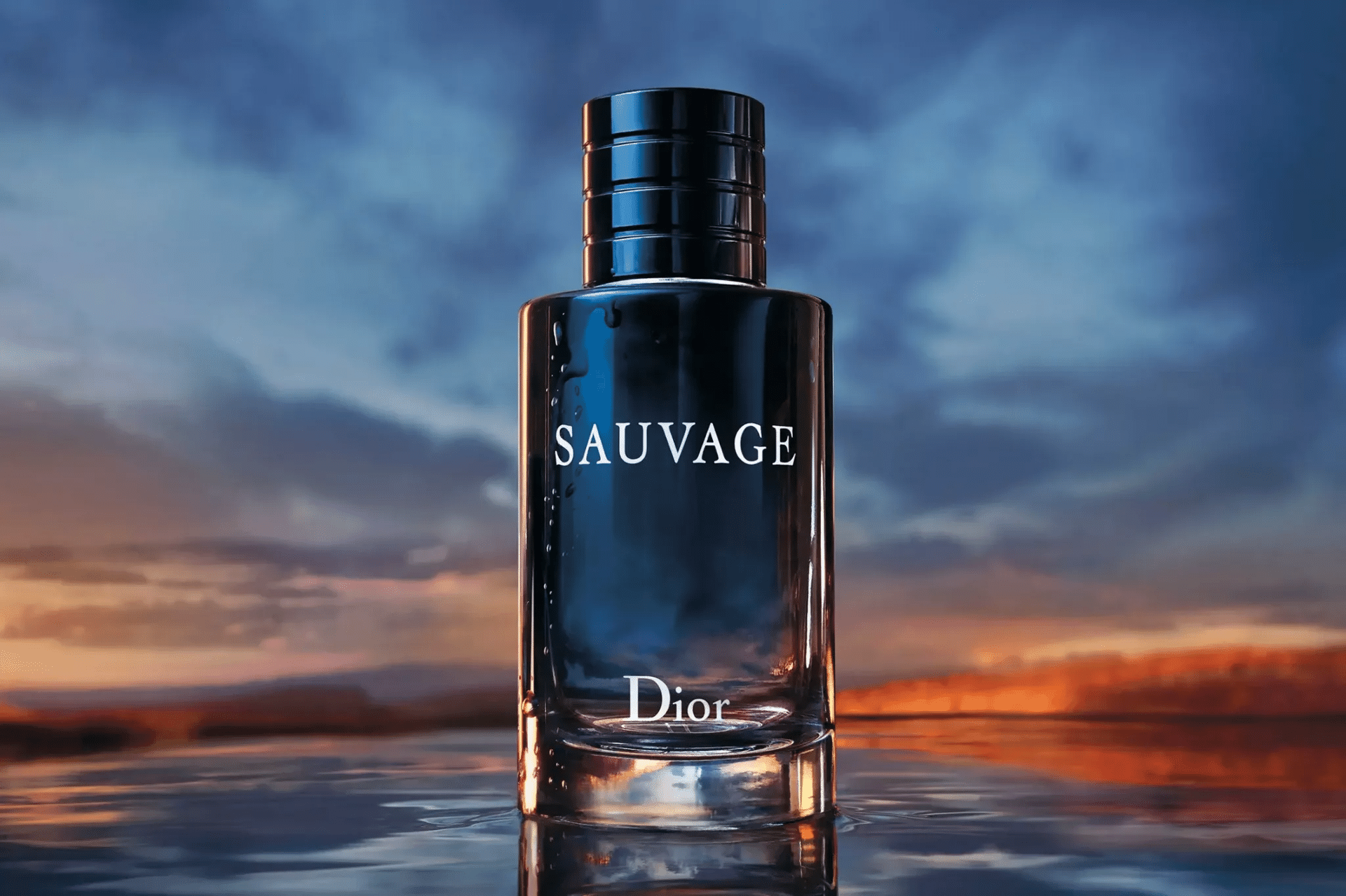 sauvage christian dior