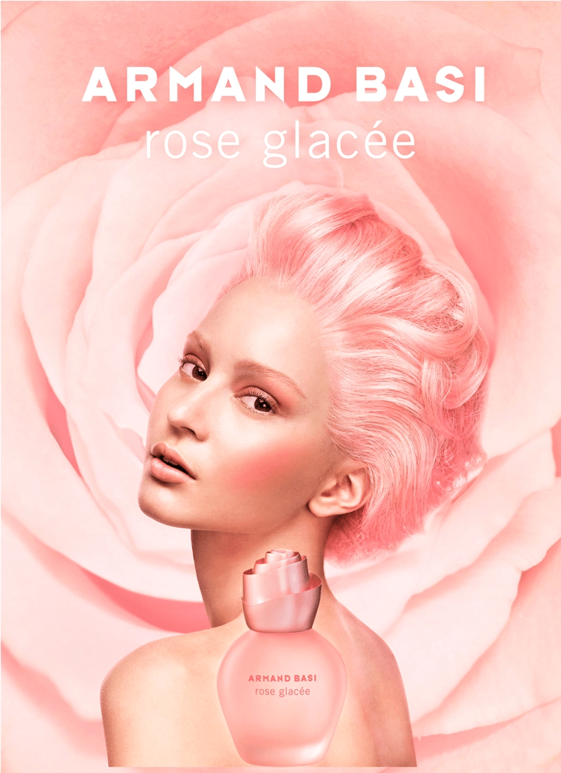 rose glacee armand basi