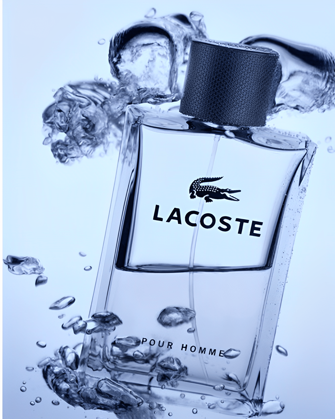 lacoste lacoste pour homme