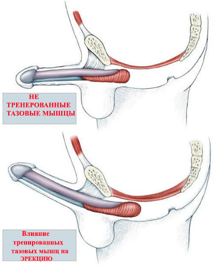 pic_ec427baa0b0ba9b20ab2415d892e93cd_1920x9000_1.png