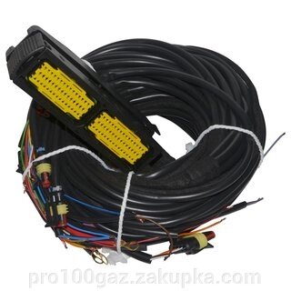 Проводка Stag-300 QMAX BASIC 8 циліндрів від компанії Pro100Gaz Установка і продаж (ГБО) - фото 1