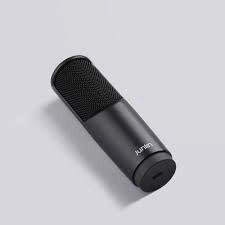 Микрофон Xiaomi Junlin Digital Microphone (JLM03) (JLM02) від компанії da1 - фото 1