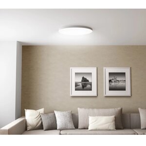 Розумний стельовий світильник Xiaomi Mi Smart LED Ceiling Light 450 mm (BHR4118GL/MJXDD01SYL)