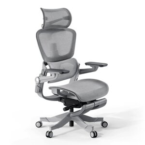 Ергономічне крісло в офіс Hinomi H1 Pro