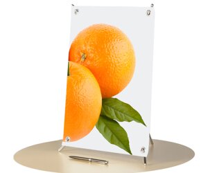 X-банер 20x40см A3 Настільний виставковий стенд Everest RB