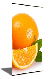 L-Баннер 60x160см мобільний виставковий стенд Everest RB