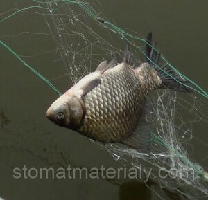 Рибальська сітка тристінна Каїда Оригінал, осередки 30-100 мм, висота 3 метри, довжина 100 метрів
