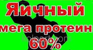 ЯЄЧНИЙ МЕГА ПРОТЕЇН 60% 2кг