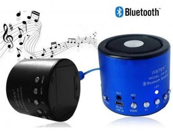 Портативна колонка з радіо і Bluetooth WS-Q9 від компанії Інтернет-магазин "Tovar-plus. Com. Ua" - фото 1