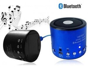 Портативна колонка з радіо і Bluetooth WS-Q9