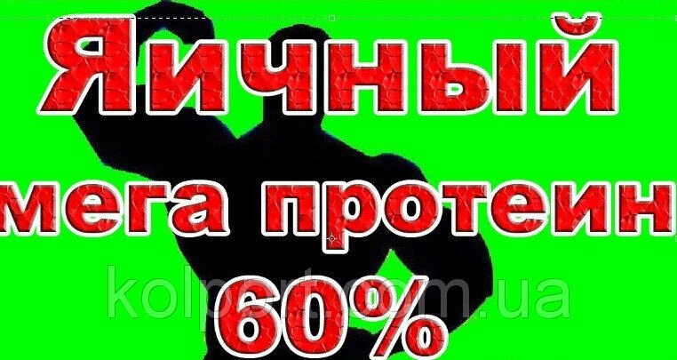 ЯЄЧНИЙ МЕГА ПРОТЕЇН 60% 1КГ від компанії Інтернет-магазин "Tovar-plus. Com. Ua" - фото 1