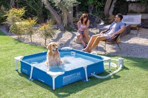 Набір для басейна Intex 48402 NP (для домашніх тварин, з металевим каркасом, скімером та диспенсером для води,