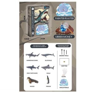 Розкопки 777-76 гіпсовий блок, інструменти, рукавички, скатертина, в коробці [Склад зберігання: Одеса №4]