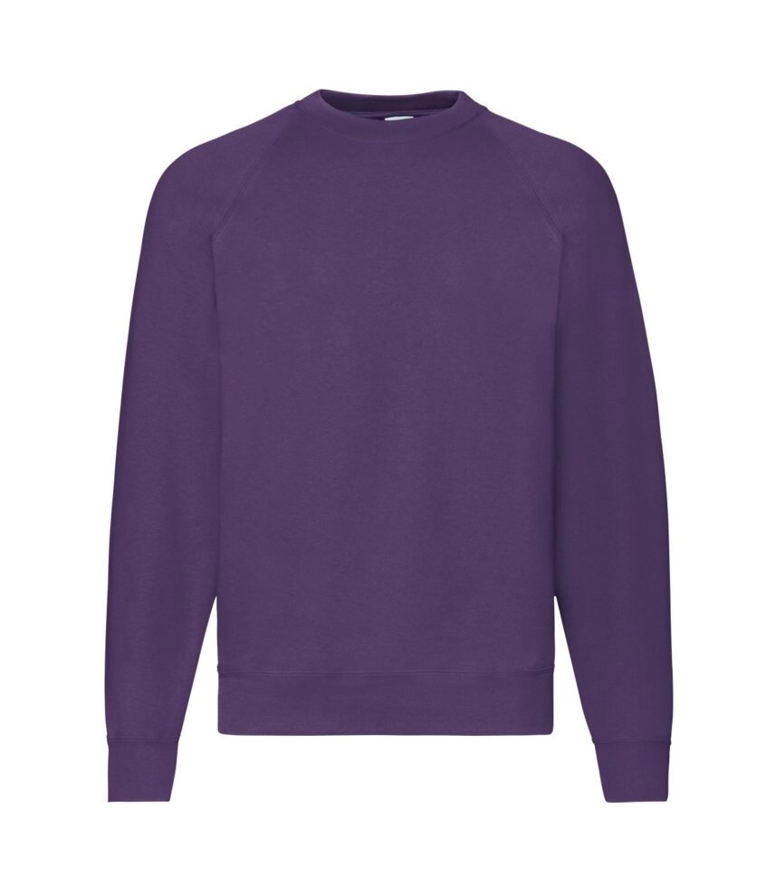 Чоловік реглан утеплений фіолетовий 216-PE від компанії Інтернет-магазин молодіжного одягу "Bagsmen" - фото 1