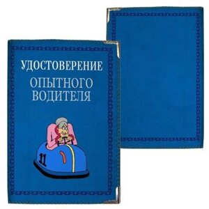 Обкладинка для автодокументів "Бувалий"