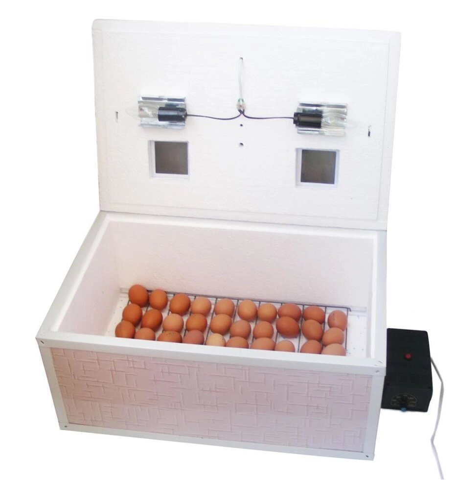Інкубатор автоматичний «Курочка Ряба» ІБ-100 місткістю 100 яєць з подвійним пластиковим корпусом від компанії ВсеСам - все для дому та саду - фото 1