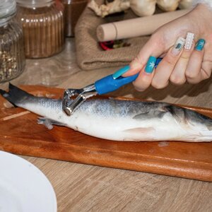 Рибочистка ніж для чищення риби з пластиковою ручкою 15 см