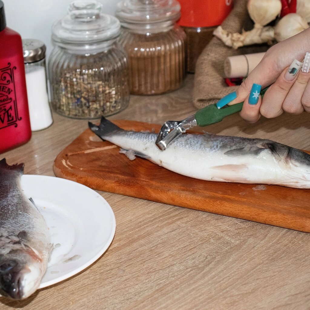 Рибочистка ніж для чищення риби з пластиковою ручкою 15 см Зелений від компанії ВсеСам - все для дому та саду - фото 1