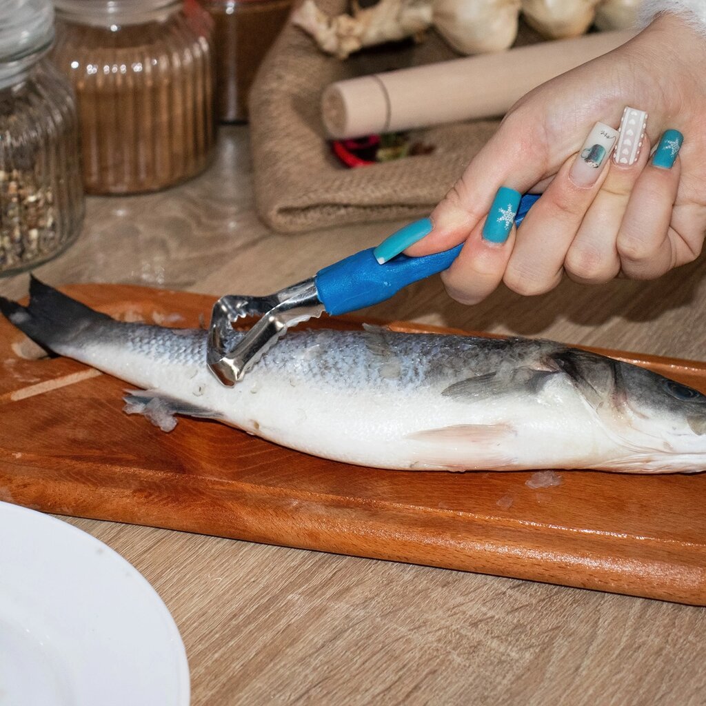 Рибочистка ніж для чищення риби з пластиковою ручкою 15 см від компанії ВсеСам - все для дому та саду - фото 1