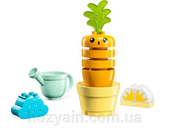 Конструктор LEGO DUPLO My First Морква на грядці 11 деталей (10981) від компанії hozyain. com. ua - фото 1