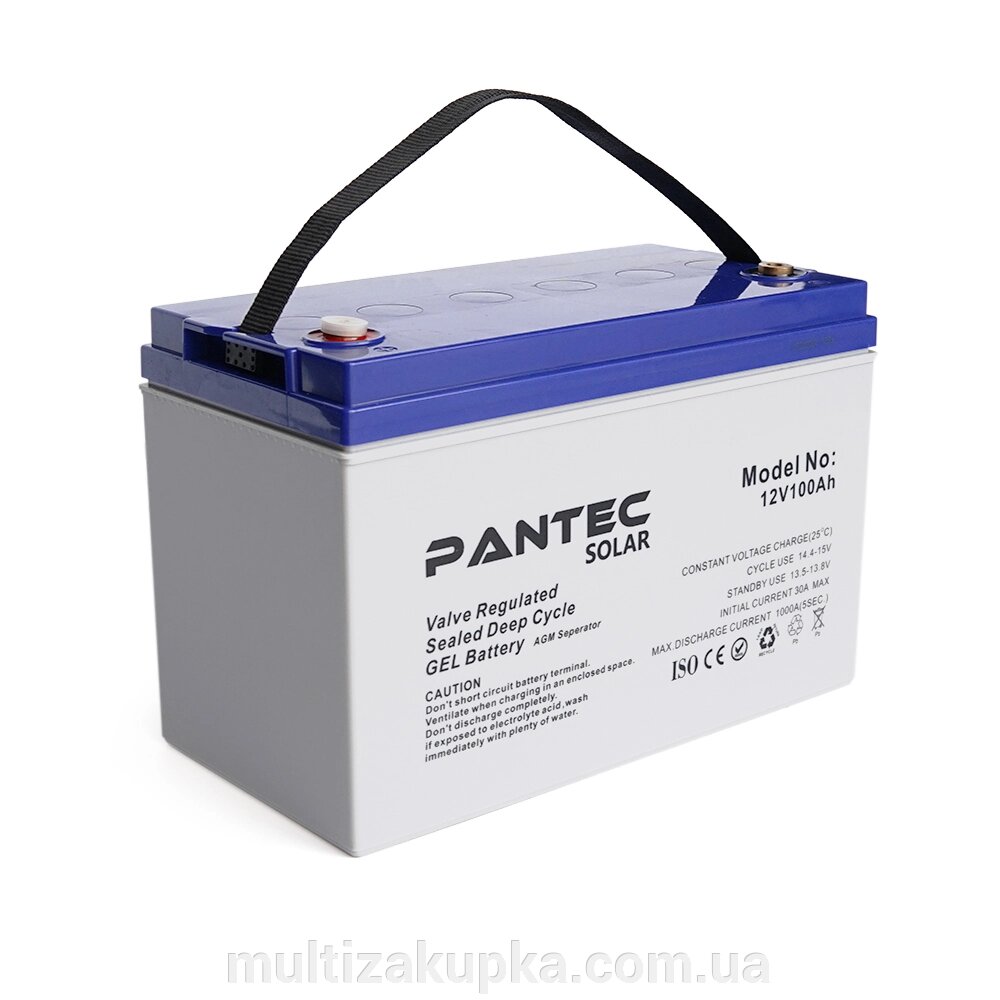 Акумуляторна батарея PANTEC  100-12 GEL 12V 100 Ah (330 x 173 x 218), 30.4 kg Grey Q1/48 від компанії Mультізакупка - фото 1