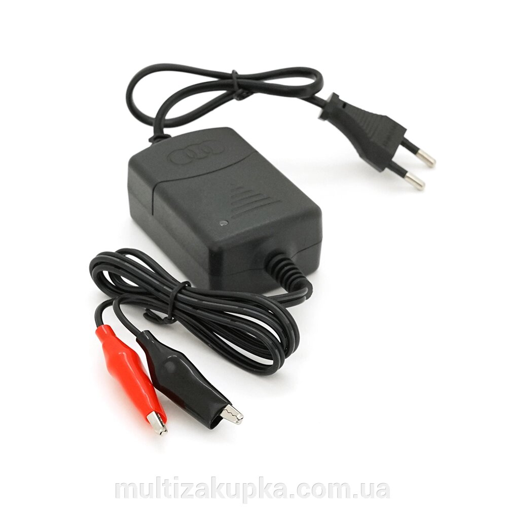 Автоматичний ЗП для акумулятора 12V, YS-C5801,100-240V,1,3A, клемі (AGM/GEL/Lead) від компанії Mультізакупка - фото 1