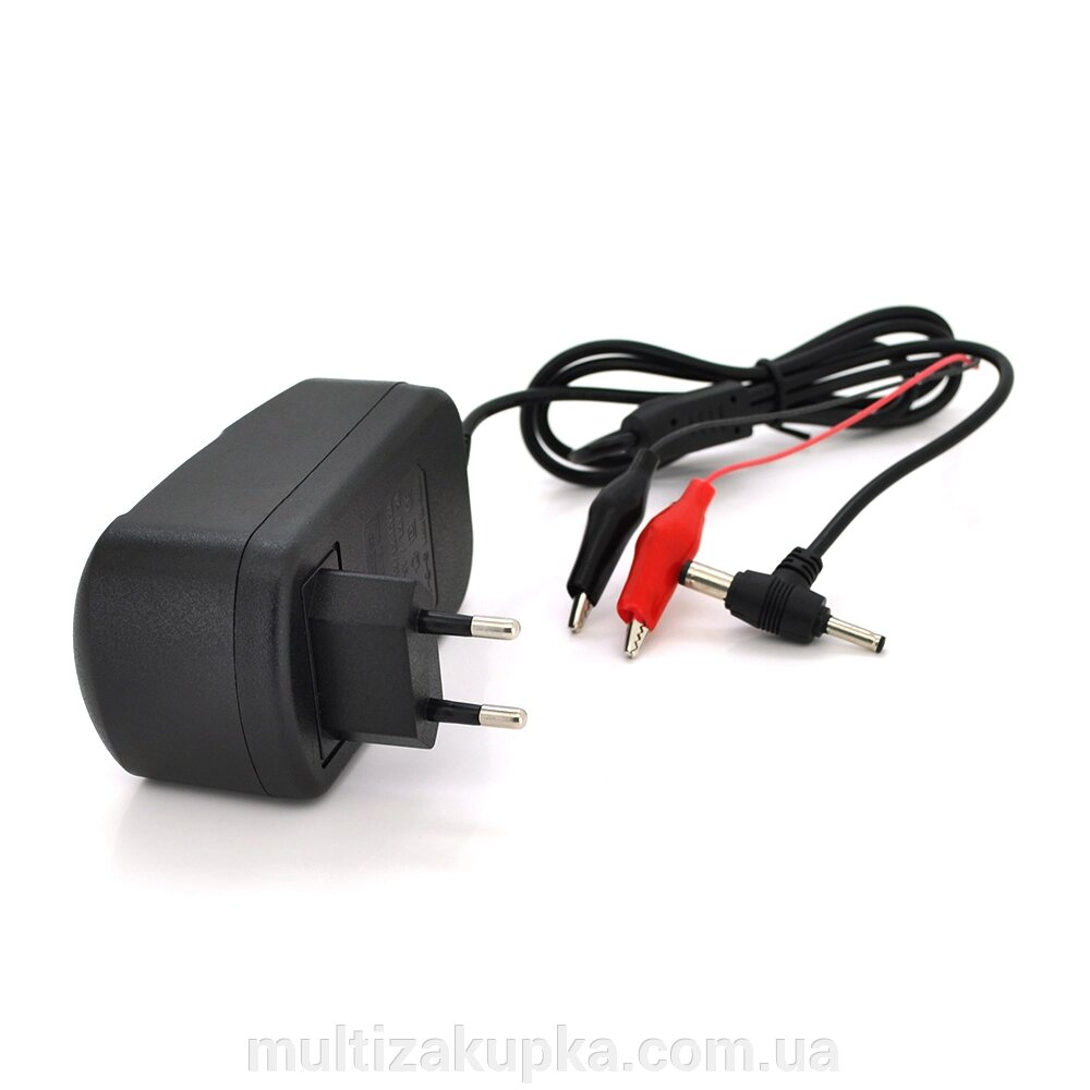 Автоматичний ЗП для акумулятора 6V/9V/12V,100-240V,2A, роз'єм живлення DC (5,5*2,5/2,5*0,7), клеми (AGM/GEL/Lead) від компанії Mультізакупка - фото 1