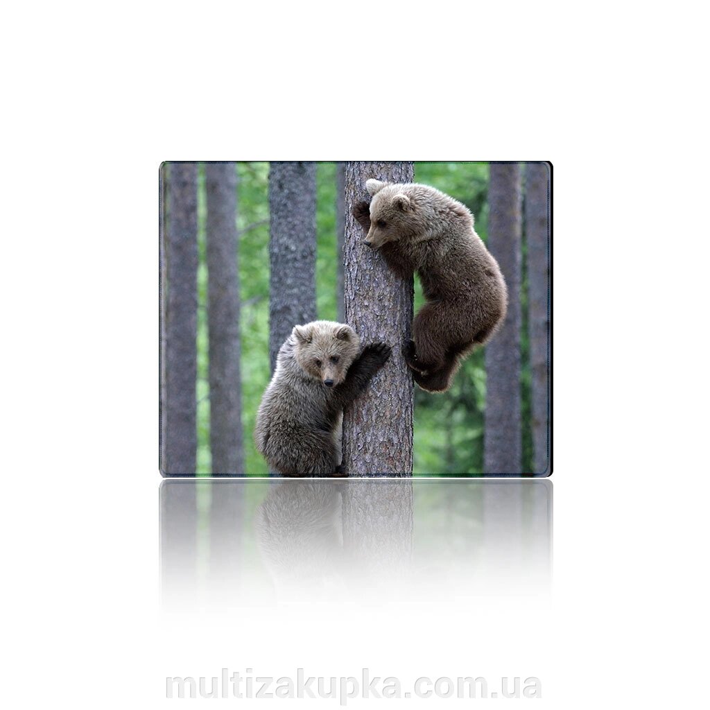 Килимок 250*300 тканинний Two Bears, з бічною прошивкою, товщина 2 мм від компанії Mультізакупка - фото 1