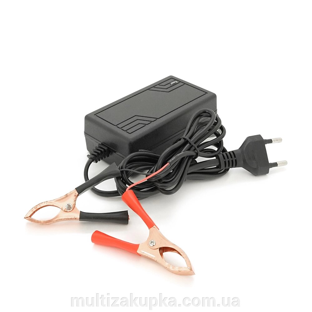 Зарядний пристрій акумуляторів LiFePO4 12V (14.6V),4S,2A, з крокодилами, LED-індикація від компанії Mультізакупка - фото 1