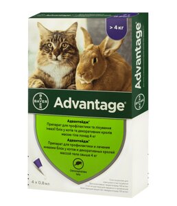 Адвантедж Краплі на холку Advantage 80 від бліх і волосоїдів для котів і кішок від 4 кг 4піп.