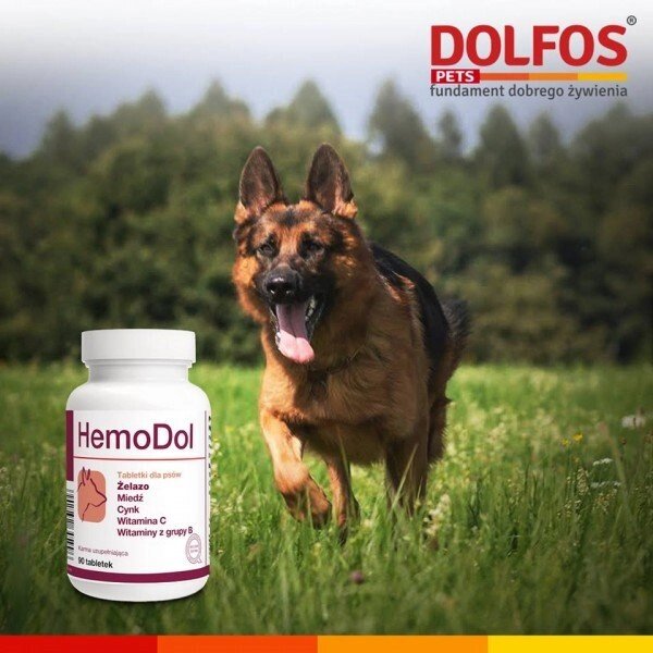 Dolfos HemoDol ГемоДол добавка для поліпшення процесів кровотворення у собак 90таб. від компанії MY PET - фото 1