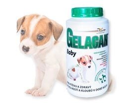 Гелакан Бэйби 1 кг (Gelacan Baby), Чехия від компанії MY PET - фото 1