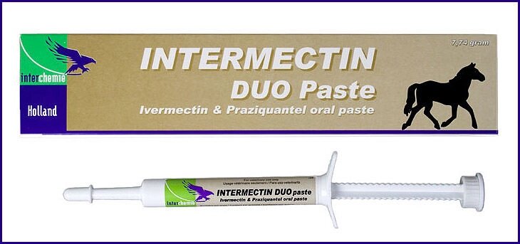 Інтермектін дуо паста, 7,74гр, антигельминтик, Interchemie duo Голландія від компанії MY PET - фото 1