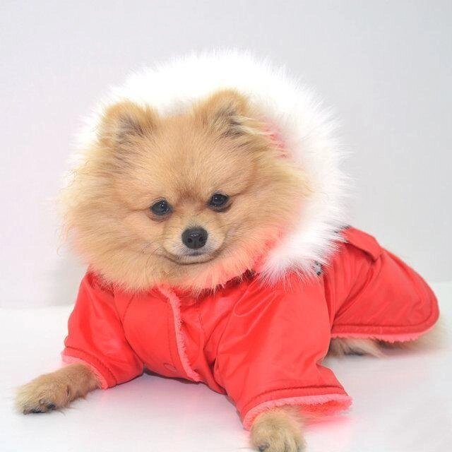 Куртка для собаки Осінь фліс міні від компанії MY PET - фото 1