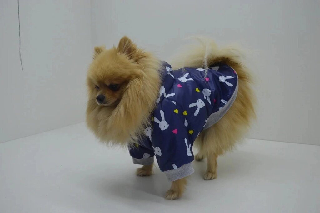Курточка для собаки ВЕСНА 21*27 мини від компанії MY PET - фото 1