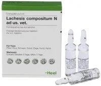 Лахезіс-композитум 5мл Lachesis compositum Heel від компанії MY PET - фото 1