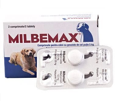 Мильбемакс Milbemax,таблетки для собак от 5 кг. (1 блистер 2 табл.) профилактика дирофиляриоза від компанії MY PET - фото 1