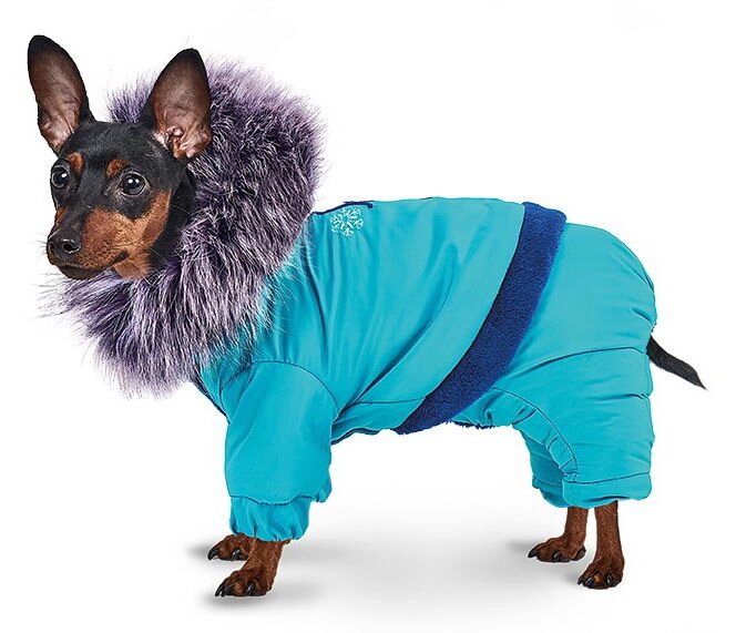 Pet Fashion Костюм Макс для собак XXS від компанії MY PET - фото 1