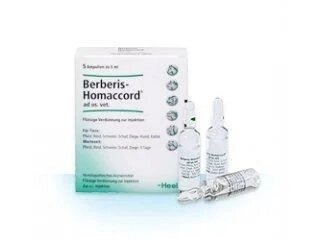 Ампулы хель. Герпес симплекс-нозод-инъель. Препараты хель ампулы. Ампулы хель. Композитум хель.