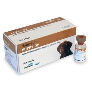Вакцина Нобівак DP для цуценят Nobivac Puppy DP ліофілізований компонент - опис